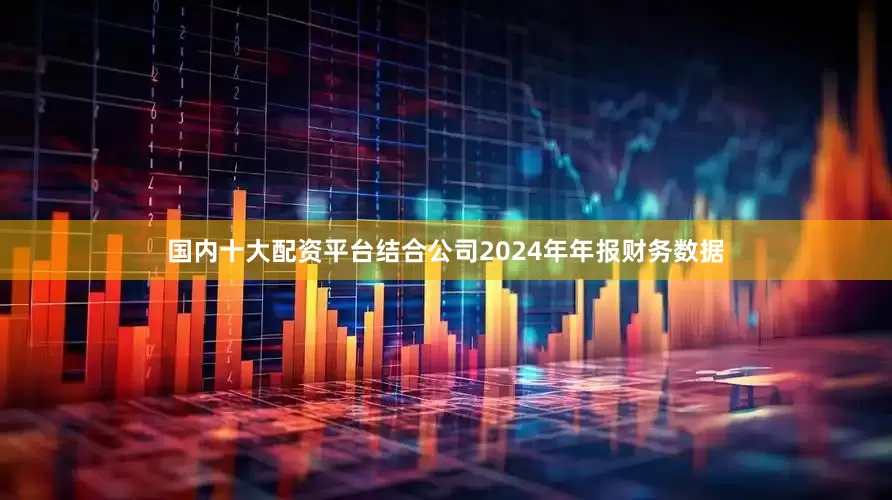 国内十大配资平台结合公司2024年年报财务数据