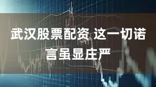 武汉股票配资 这一切诺言虽显庄严